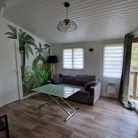 Cap D 6 Personnes Avec Piscine 4*