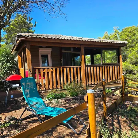 Cap D 6 Personnes Avec Piscine Chalet