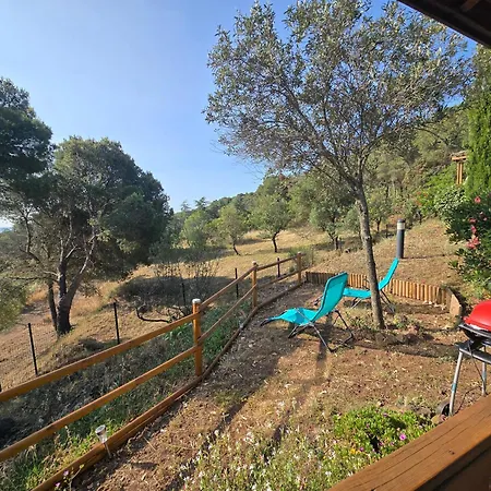 Cap D 6 Personnes Avec Piscine Chalet